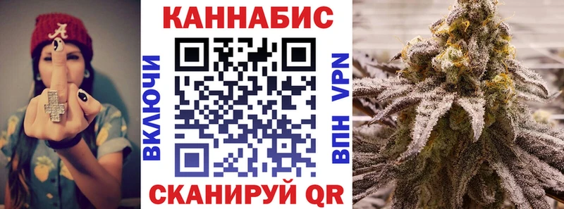 ГАШ Невель