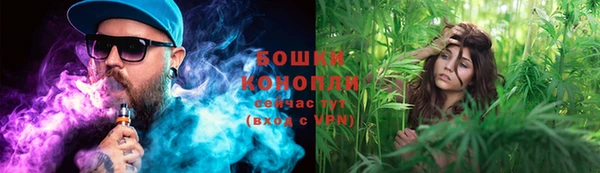 СК Белокуриха