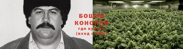 спайс Беломорск