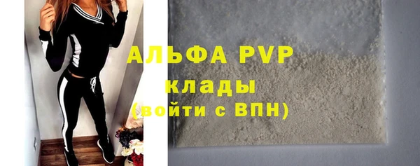 СК Белокуриха