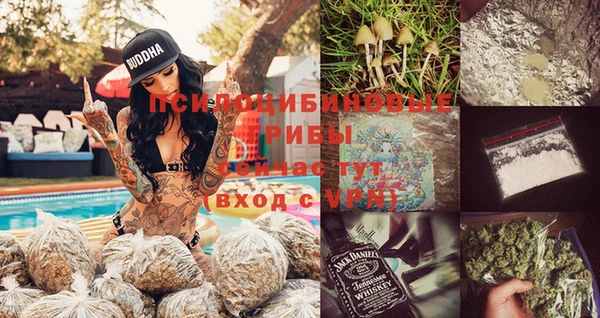 СК Белокуриха